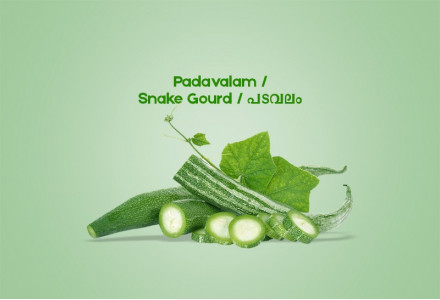 Padavalam / Snake Gourd / പടവലം - 500.00 gm